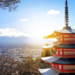 Heartbroken Dad Drops Fight For More Time