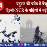 दिल्ली – प्रदूषण की चपेट में बेजुबान दिल्ली-NCR के पक्षियों में बढ़ी ये बीमारी |