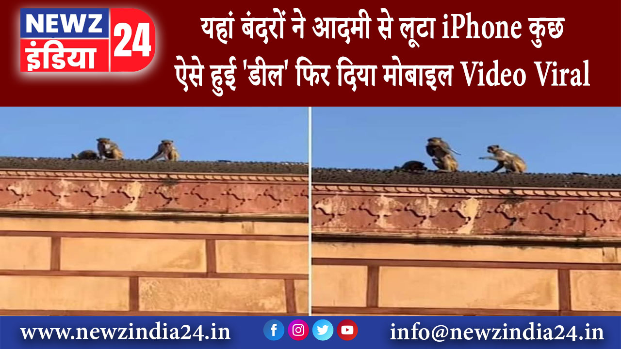 दिल्ली – यहां बंदरों ने आदमी से लूटा iPhone कुछ ऐसे हुई ‘डील’ फिर दिया मोबाइल Video Viral