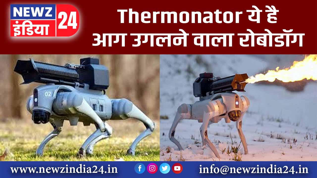 Thermonator ये है आग उगलने वाला रोबोडॉग