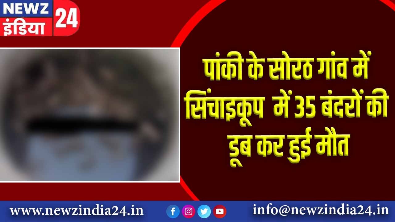 पांकी के सोरठ गांव में सिंचाइकूप में 35 बंदरों की डूब कर हुई मौत