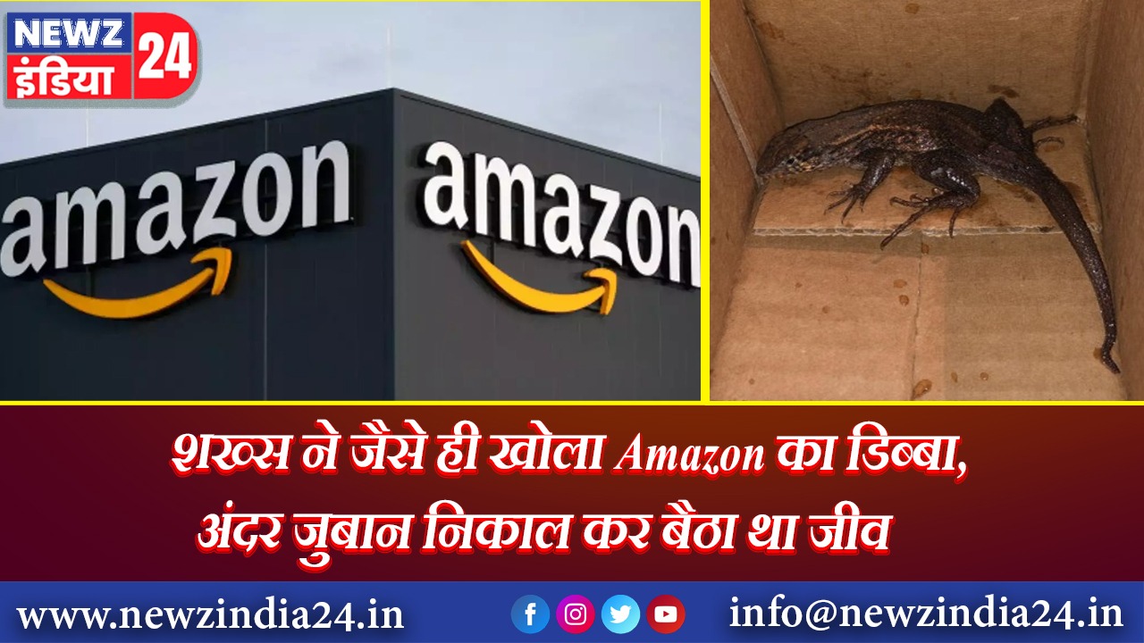 शख्स ने जैसे ही खोला Amazon का डिब्बा, अंदर जुबान निकाल कर बैठा था जीव