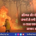 ओरेगन और वॉशिंगटन में जंगलों में लगी भीषण आग,10 लाख एकड़ जंगल जलकर खाक