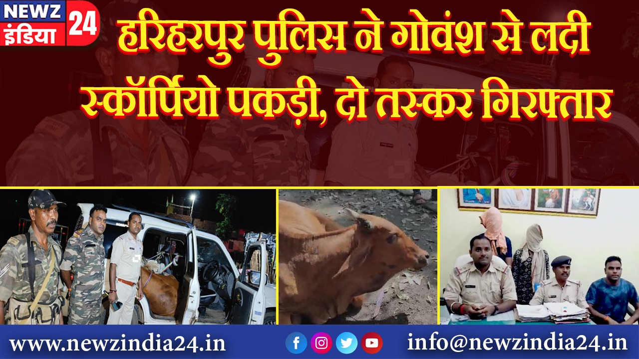 हरिहरपुर पुलिस ने गोवंश से लदी स्कॉर्पियो पकड़ी, दो तस्कर गिरफ्तार