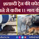 शताब्दी ट्रेन की चपेट में आने से करीब 11 गाय की मौत |