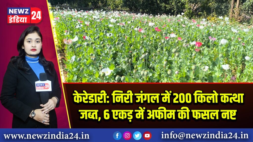 केरेडारी: निरी जंगल में 200 किलो कत्था जब्त, 6 एकड़ में अफीम की फसल नष्ट