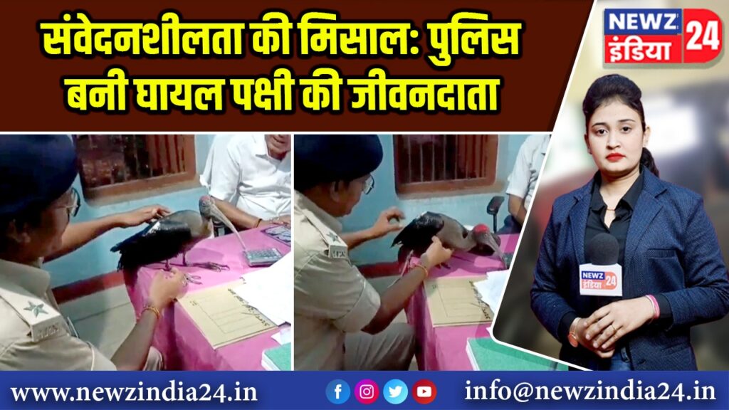 संवेदनशीलता की मिसाल: पुलिस बनी घायल पक्षी की जीवनदाता