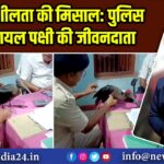 संवेदनशीलता की मिसाल: पुलिस बनी घायल पक्षी की जीवनदाता