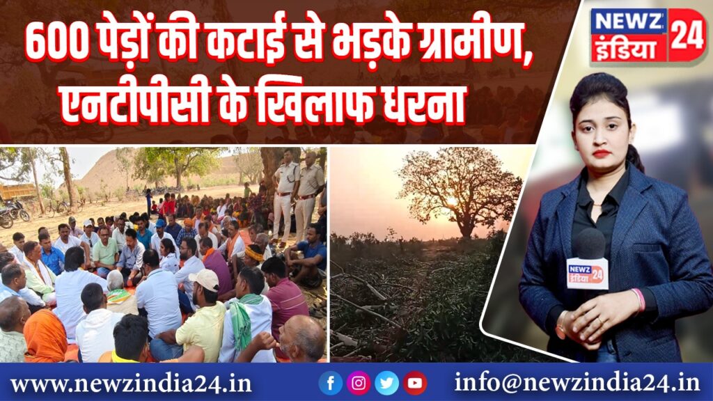 600 पेड़ों की कटाई से भड़के ग्रामीण, एनटीपीसी के खिलाफ धरना