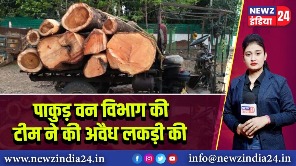 पाकुड़ वन विभाग की टीम ने की अवैध लकड़ी की जब्ती