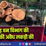 पाकुड़ वन विभाग की टीम ने की अवैध लकड़ी की जब्ती
