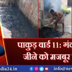 पाकुड़ वार्ड 11: गंदगी में जीने को मजबूर लोग | 