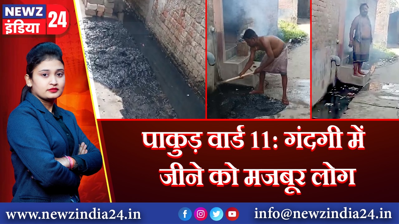 पाकुड़ वार्ड 11: गंदगी में जीने को मजबूर लोग | 