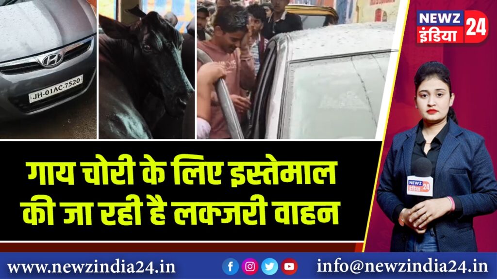 गाय चोरी के लिए इस्तेमाल की जा रही है लक्जरी वाहन