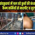 चांदकुइयां में चल रहे कुत्तों की बंध्याकरण कैम्प कर्मियों से मारपीट व लुटपाट |