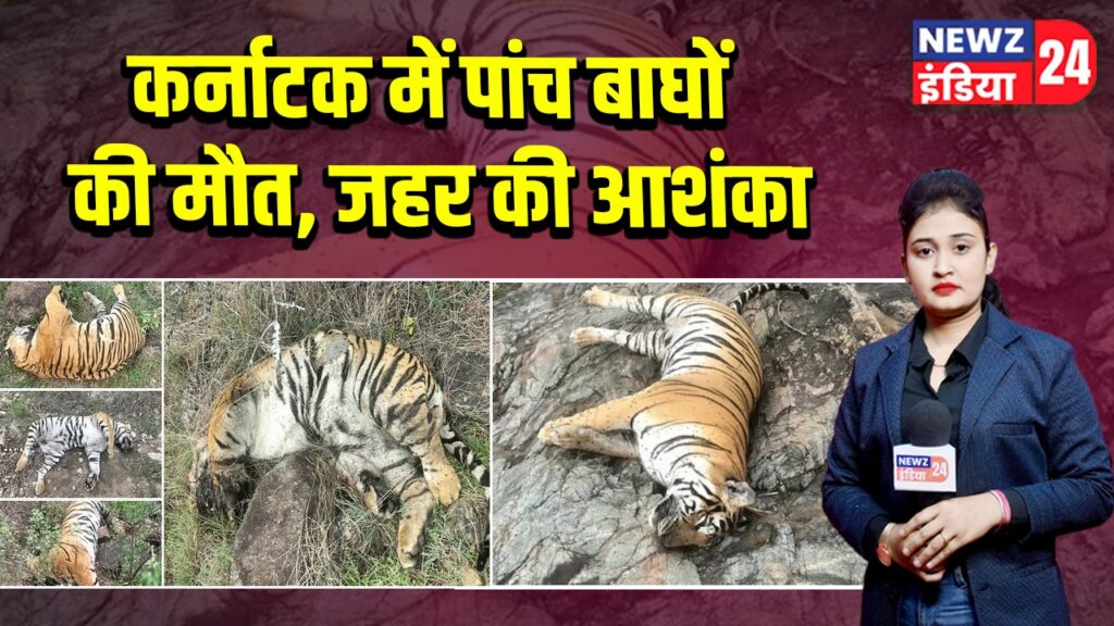 कर्नाटक में पांच बाघों की मौत, जहर की आशंका