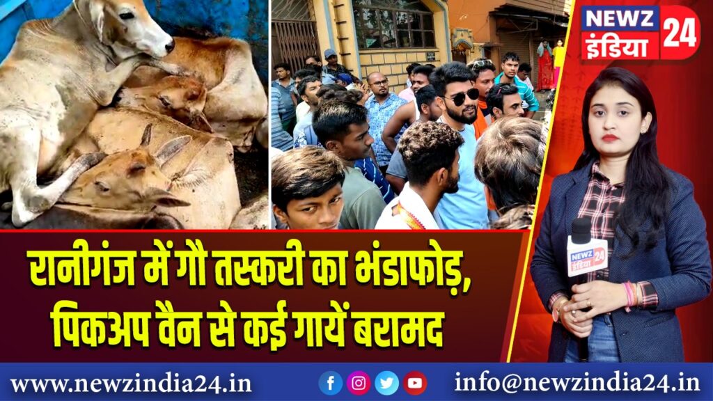 रानीगंज में गौ तस्करी का भंडाफोड़, पिकअप वैन से कई गायें बरामद