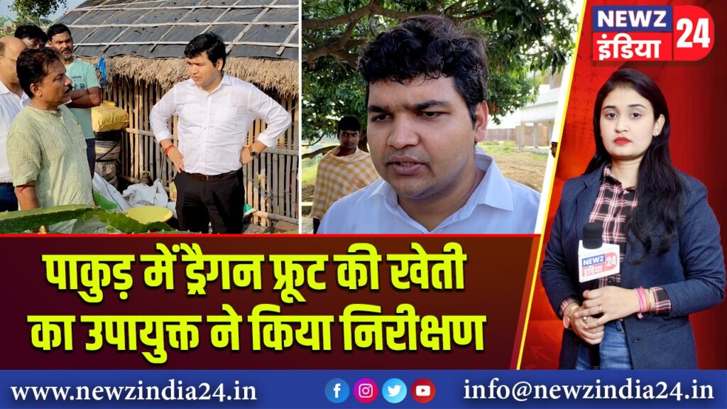 पाकुड़ में ड्रैगन फ्रूट की खेती का उपायुक्त ने किया निरीक्षण