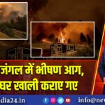 ओरेगन जंगल में भीषण आग, सैकड़ों घर खाली कराए गए