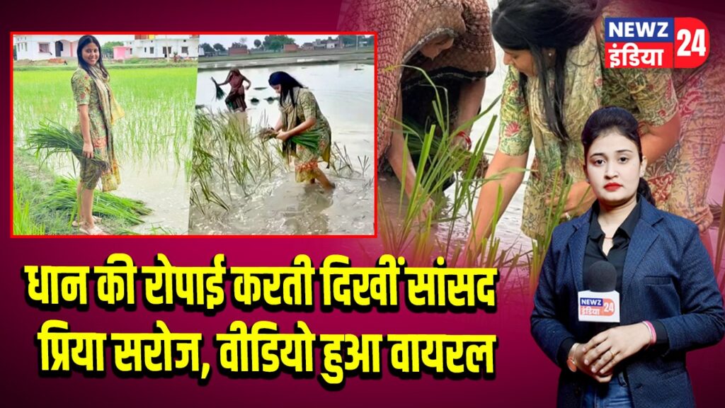 धान की रोपाई करती दिखीं सांसद प्रिया सरोज, वीडियो हुआ वायरल