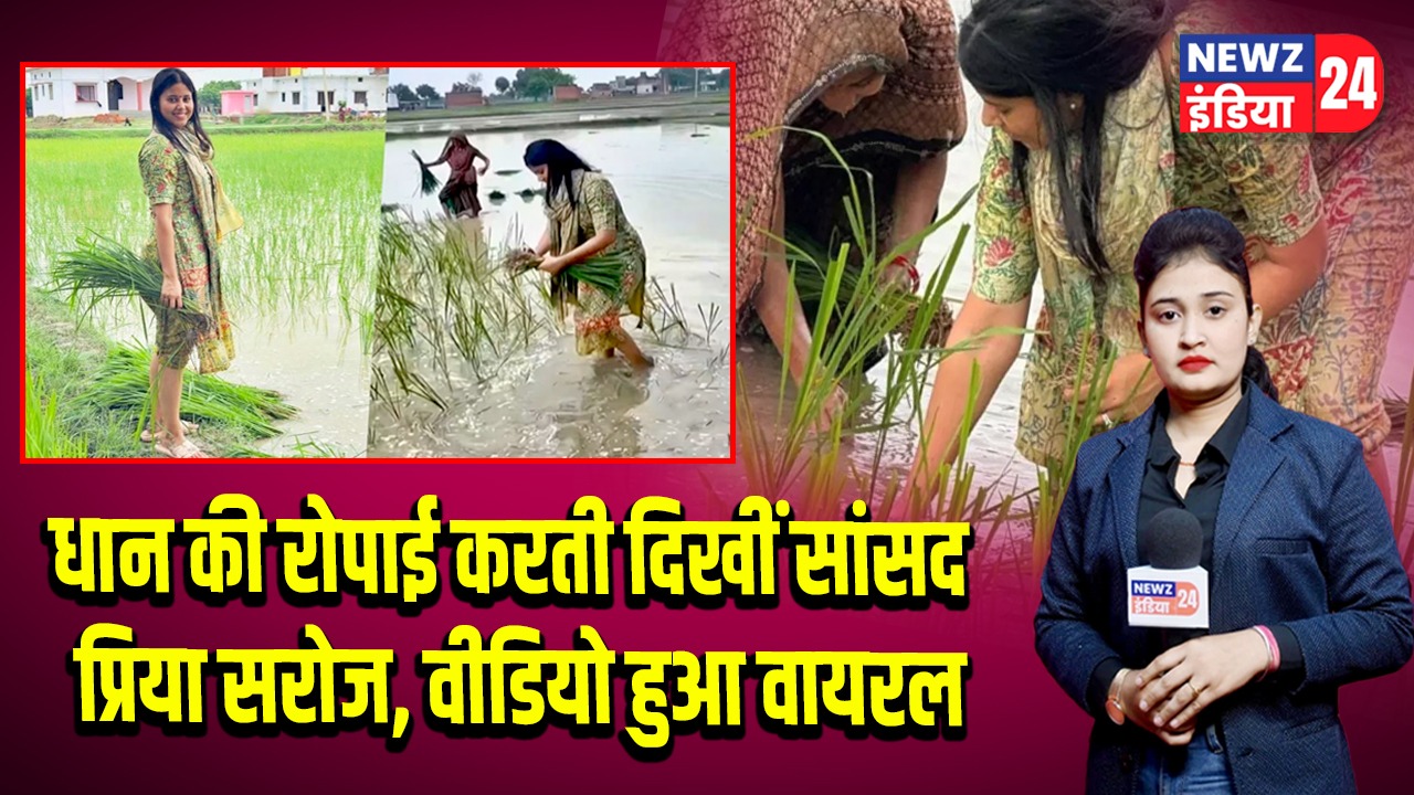 धान की रोपाई करती दिखीं सांसद प्रिया सरोज, वीडियो हुआ वायरल
