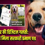 बिहार की डिजिटल गलती: डॉग बाबू को मिला सरकारी प्रमाण पत्र