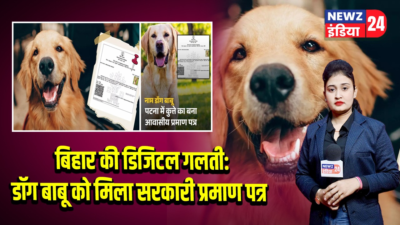 बिहार की डिजिटल गलती: डॉग बाबू को मिला सरकारी प्रमाण पत्र