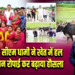 खटीमा: सीएम धामी ने खेत में हल चलाया, धान रोपाई कर बढ़ाया हौसला