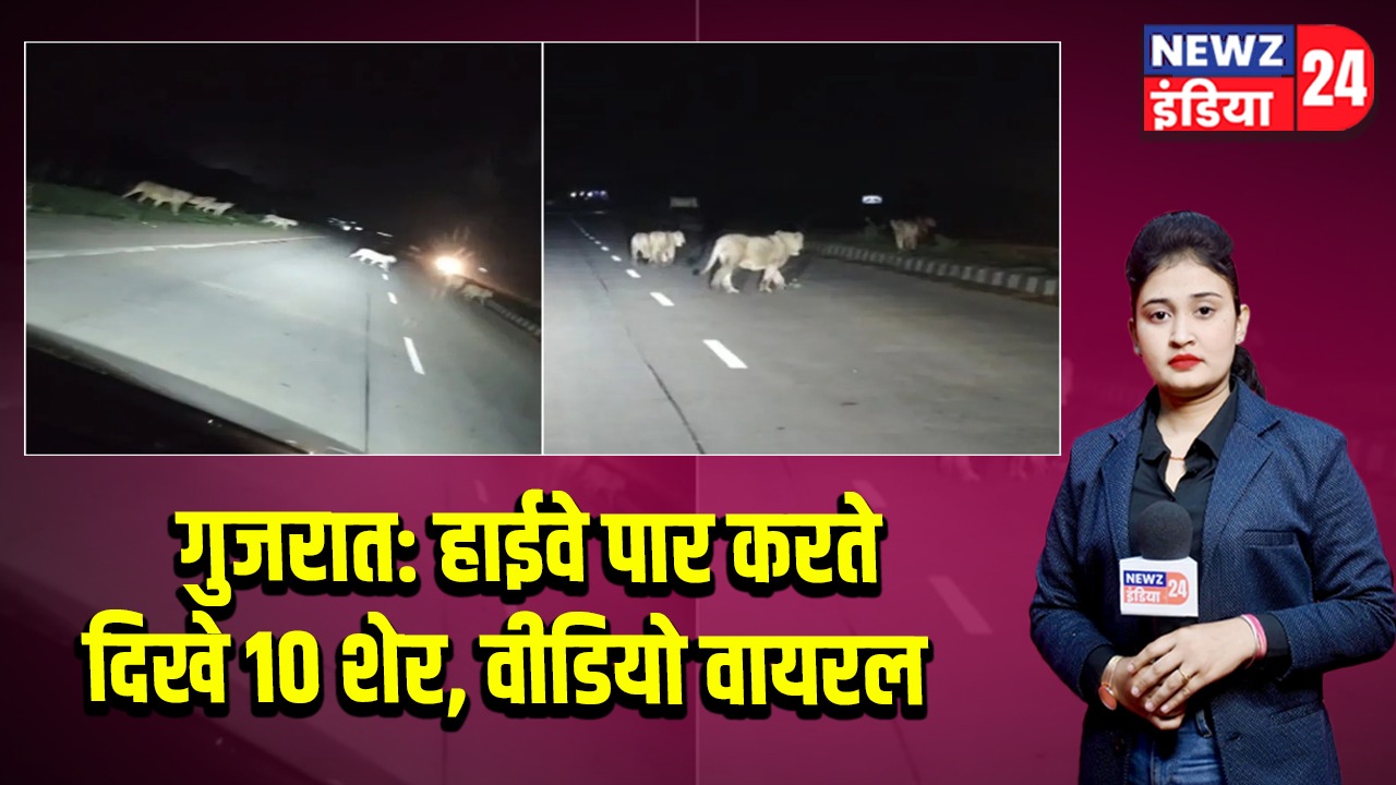 गुजरात: हाईवे पार करते दिखे 10 शेर, वीडियो वायरल | 