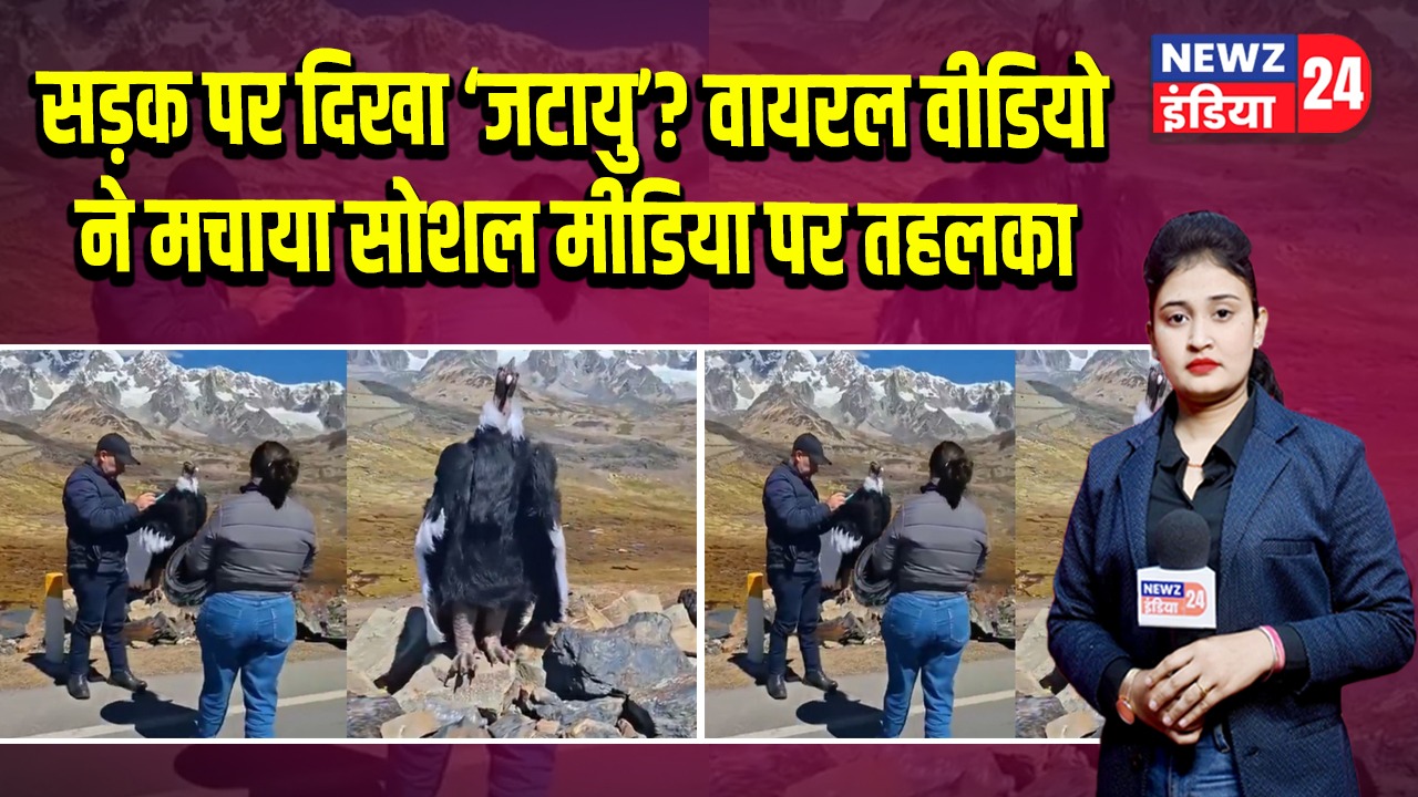 सड़क पर दिखा ‘जटायु’? वायरल वीडियो ने मचाया सोशल मीडिया पर तहलका | 
