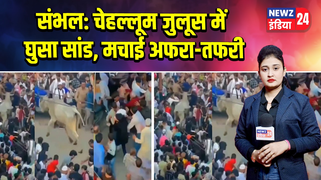 संभल: चेहल्लूम जुलूस में घुसा सांड, मचाई अफरा-तफरी