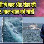 न्यू जर्सी में नाव और व्हेल की टक्कर, बाल-बाल बचे यात्री