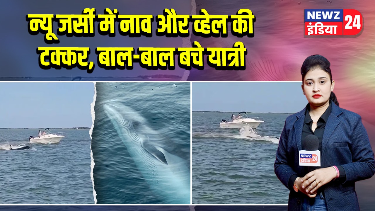 न्यू जर्सी में नाव और व्हेल की टक्कर, बाल-बाल बचे यात्री