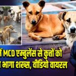 दिल्ली में MCD एम्बुलेंस से कुत्तों को छुड़ाकर ले भागा शख्स, वीडियो वायरल