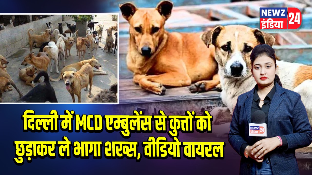 दिल्ली में MCD एम्बुलेंस से कुत्तों को छुड़ाकर ले भागा शख्स, वीडियो वायरल
