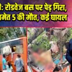 बाराबंकी: रोडवेज बस पर पेड़ गिरा, चालक समेत 5 की मौत, कई घायल