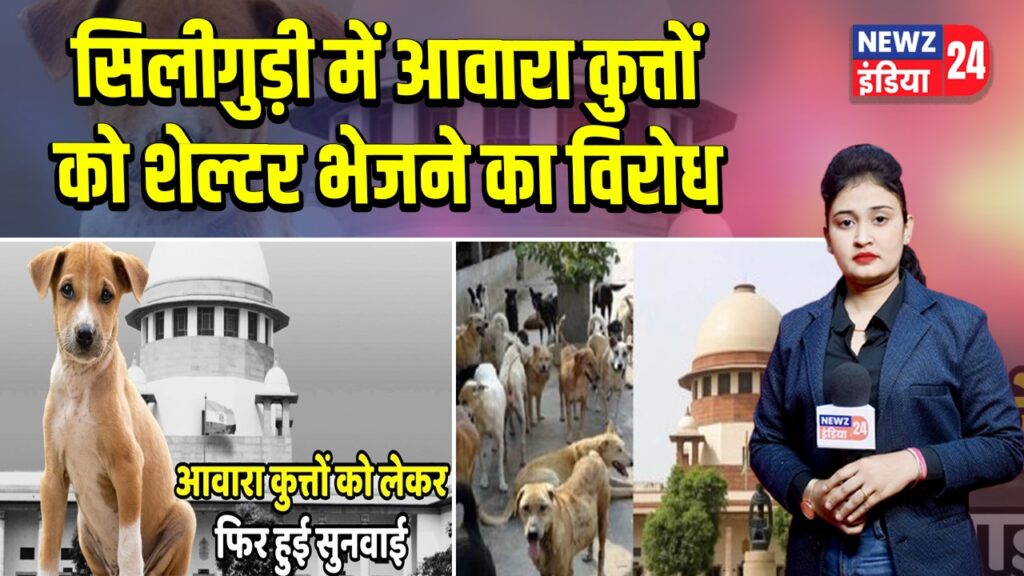 सिलीगुड़ी में आवारा कुत्तों को शेल्टर भेजने का विरोध 