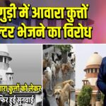 सिलीगुड़ी में आवारा कुत्तों को शेल्टर भेजने का विरोध 