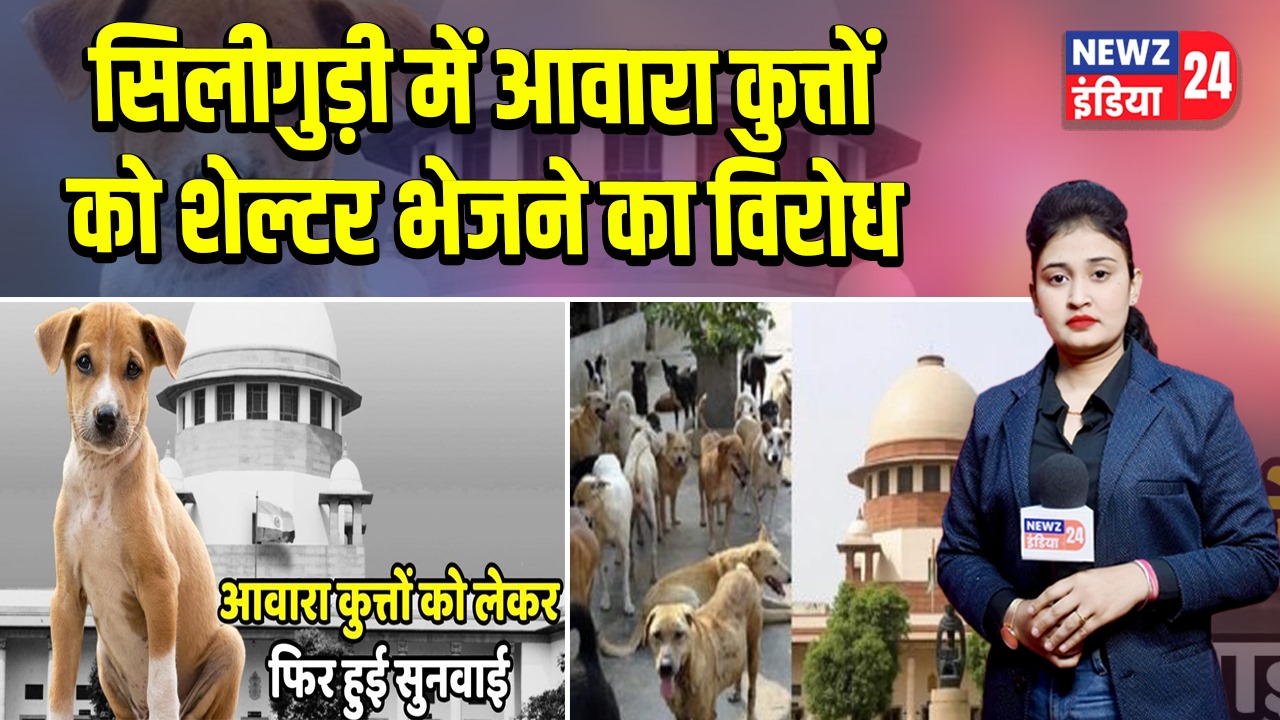 सिलीगुड़ी में आवारा कुत्तों को शेल्टर भेजने का विरोध 