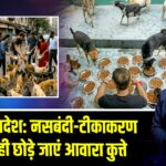 SC का आदेश: नसबंदी-टीकाकरण के बाद ही छोड़े जाएं आवारा कुत्ते