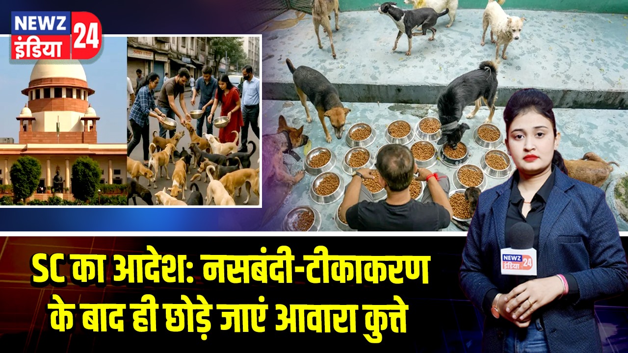 SC का आदेश: नसबंदी-टीकाकरण के बाद ही छोड़े जाएं आवारा कुत्ते