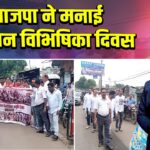 भाजपा ने मनाई विभाजन विभिषिका दिवस