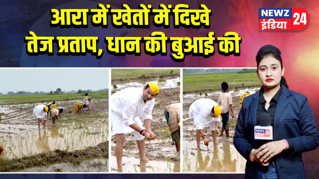 आरा में खेतों में दिखे तेज प्रताप, धान की बुआई की