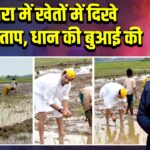 आरा में खेतों में दिखे तेज प्रताप, धान की बुआई की