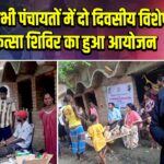 जिले के सभी पंचायतों में दो दिवसीय विशेष पशु चिकित्सा शिविर का हुआ आयोजन | 