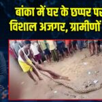 बांका में घर के छप्पर पर मिला विशाल अजगर, ग्रामीणों में दहशत