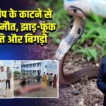 कैमूर: सांप के काटने से व्यक्ति की मौत, झाड़-फूंक से स्थिति और बिगड़ी