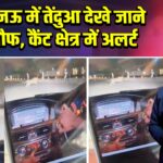 लखनऊ में तेंदुआ देखे जाने से खौफ, कैंट क्षेत्र में अलर्ट | 