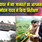 इंदौर चिड़ियाघर में नए जानवरों का आगमन, सीएम मोहन यादव ने किया निरीक्षण | 