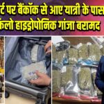 IGI एयरपोर्ट पर बैंकॉक से आए यात्री के पास से 2.5 किलो हाइड्रोपोनिक गांजा बरामद